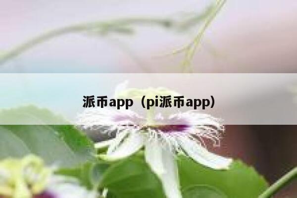 派币app（pi派币app） 第1张