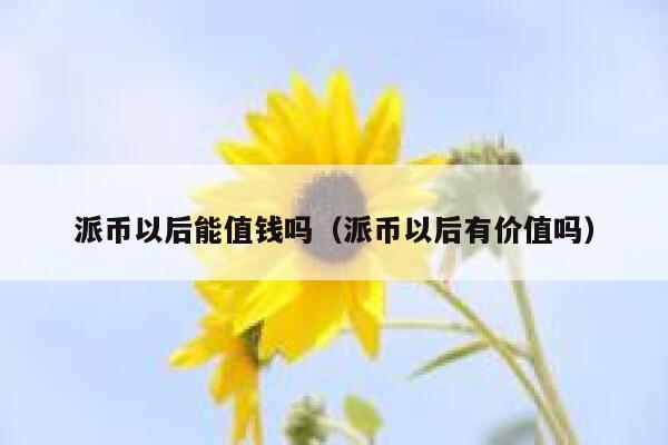 派币以后能值钱吗（派币以后有价值吗） 第1张