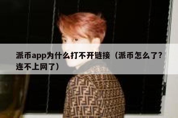 派币app为什么打不开链接（派币怎么了?连不上网了） 第1张