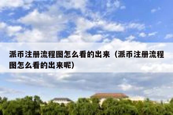 派币注册流程图怎么看的出来（派币注册流程图怎么看的出来呢） 第1张