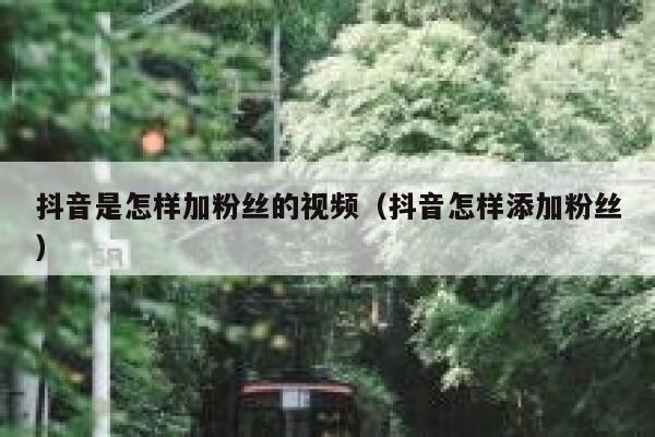 抖音是怎样加粉丝的视频（抖音怎样添加粉丝） 第1张