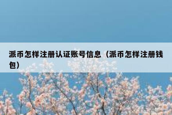 派币怎样注册认证账号信息（派币怎样注册钱包） 第1张