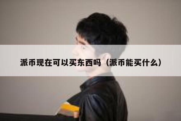 派币现在可以买东西吗（派币能买什么） 第1张