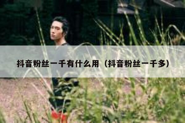 抖音粉丝一千有什么用（抖音粉丝一千多） 第1张