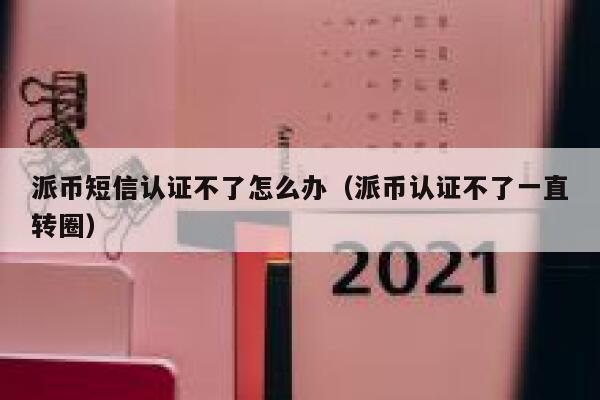 派币短信认证不了怎么办（派币认证不了一直转圈） 第1张