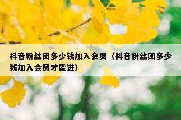 抖音粉丝团多少钱加入会员（抖音粉丝团多少钱加入会员才能进） 第1张