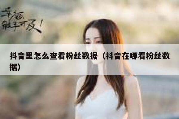 抖音里怎么查看粉丝数据（抖音在哪看粉丝数据） 第1张