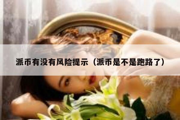 派币有没有风险提示（派币是不是跑路了） 第1张