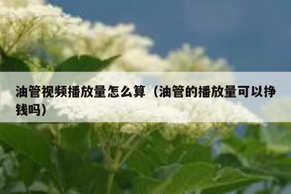 油管视频播放量怎么算（油管的播放量可以挣钱吗） 第1张