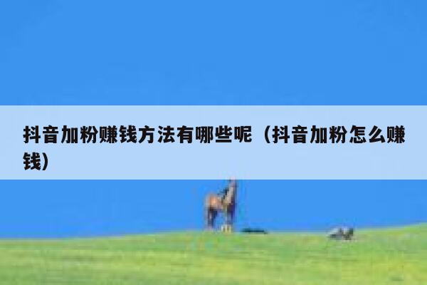 抖音加粉赚钱方法有哪些呢（抖音加粉怎么赚钱） 第1张