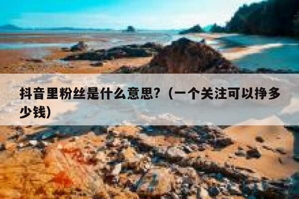 抖音里粉丝是什么意思?（一个关注可以挣多少钱） 第1张