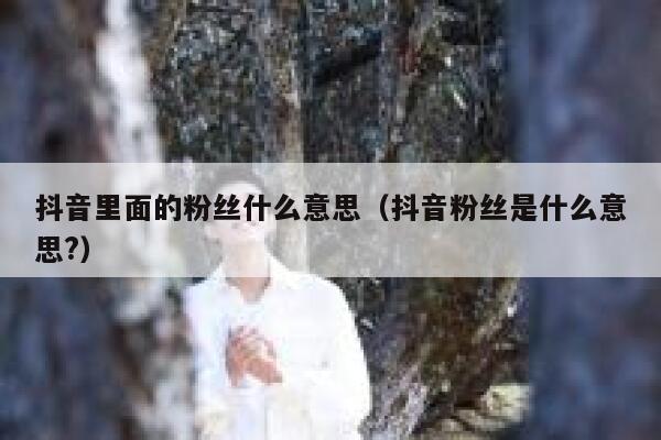 抖音里面的粉丝什么意思（抖音粉丝是什么意思?） 第1张