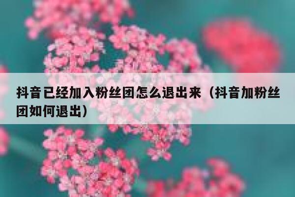 抖音已经加入粉丝团怎么退出来（抖音加粉丝团如何退出） 第1张