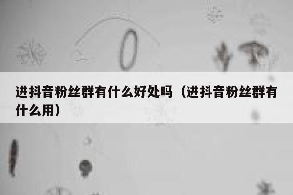 进抖音粉丝群有什么好处吗（进抖音粉丝群有什么用） 第1张