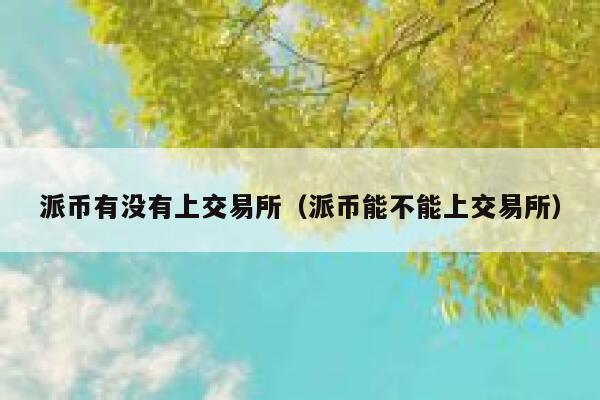 派币有没有上交易所（派币能不能上交易所） 第1张