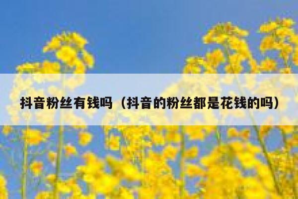 抖音粉丝有钱吗（抖音的粉丝都是花钱的吗） 第1张