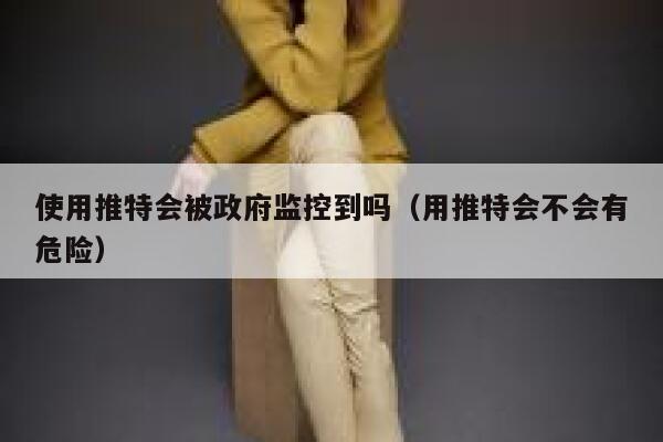 使用推特会被政府监控到吗（用推特会不会有危险） 第1张
