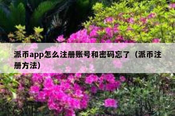 派币app怎么注册账号和密码忘了（派币注册方法） 第1张