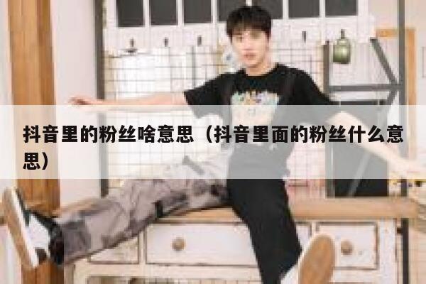 抖音里的粉丝啥意思（抖音里面的粉丝什么意思） 第1张