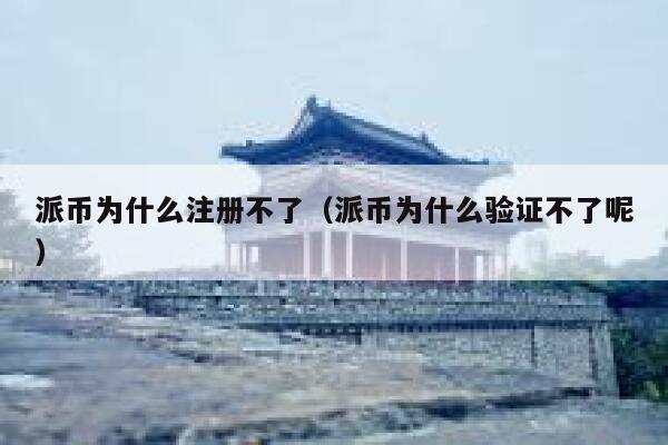 派币为什么注册不了（派币为什么验证不了呢） 第1张