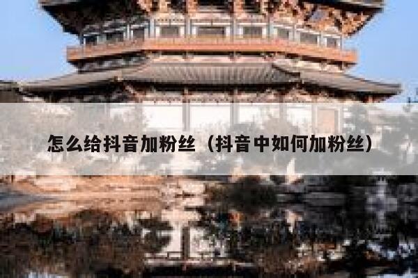 怎么给抖音加粉丝（抖音中如何加粉丝） 第1张