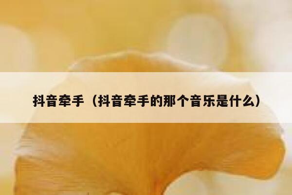 抖音牵手（抖音牵手的那个音乐是什么） 第1张