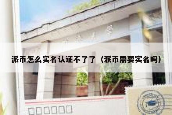 派币怎么实名认证不了了（派币需要实名吗） 第1张