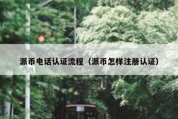 派币电话认证流程（派币怎样注册认证） 第1张