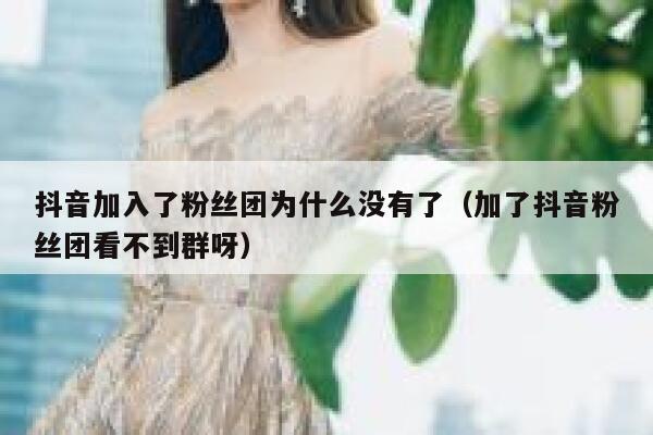 抖音加入了粉丝团为什么没有了（加了抖音粉丝团看不到群呀） 第1张