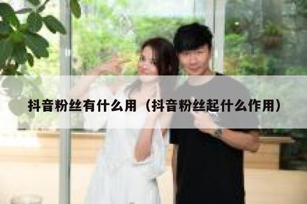 抖音粉丝有什么用（抖音粉丝起什么作用） 第1张
