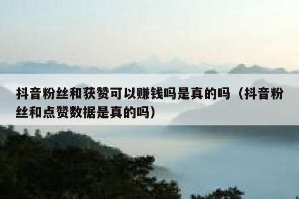 抖音粉丝和获赞可以赚钱吗是真的吗（抖音粉丝和点赞数据是真的吗） 第1张