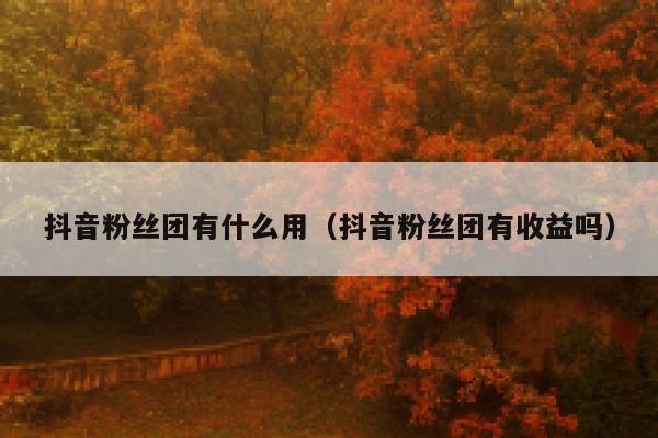 抖音粉丝团有什么用（抖音粉丝团有收益吗） 第1张