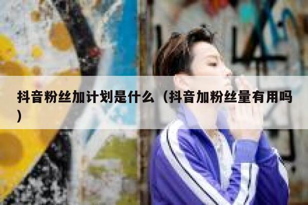 抖音粉丝加计划是什么（抖音加粉丝量有用吗） 第1张