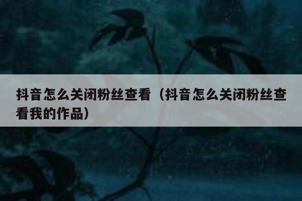 抖音怎么关闭粉丝查看（抖音怎么关闭粉丝查看我的作品） 第1张