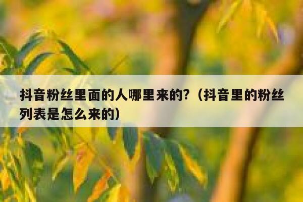 抖音粉丝里面的人哪里来的?（抖音里的粉丝列表是怎么来的） 第1张