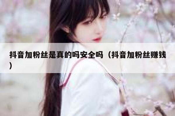抖音加粉丝是真的吗安全吗（抖音加粉丝赚钱） 第1张