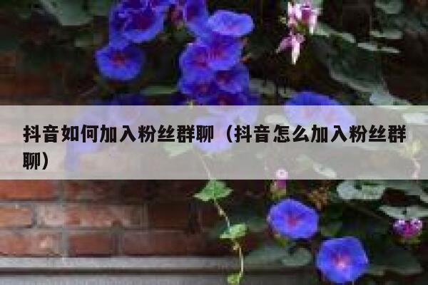 抖音如何加入粉丝群聊（抖音怎么加入粉丝群聊） 第1张