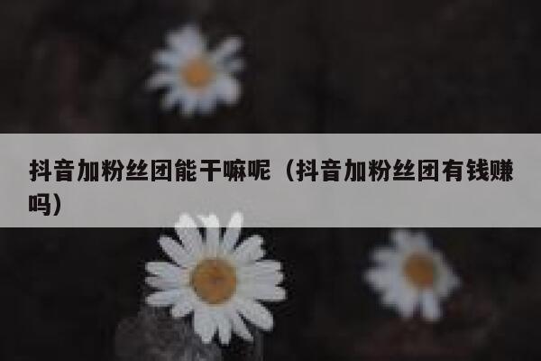 抖音加粉丝团能干嘛呢（抖音加粉丝团有钱赚吗） 第1张