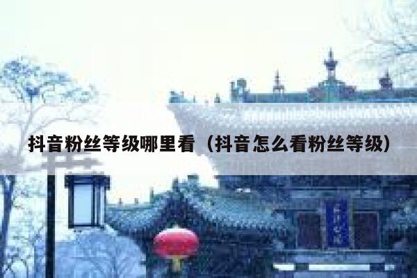 抖音粉丝等级哪里看（抖音怎么看粉丝等级） 第1张