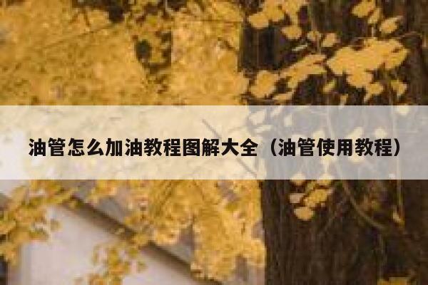 油管怎么加油教程图解大全（油管使用教程） 第1张