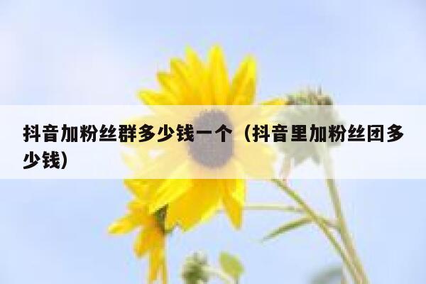 抖音加粉丝群多少钱一个（抖音里加粉丝团多少钱） 第1张