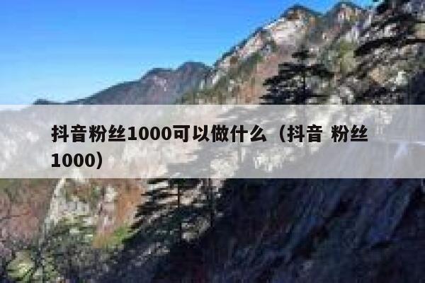 抖音粉丝1000可以做什么（抖音 粉丝 1000） 第1张