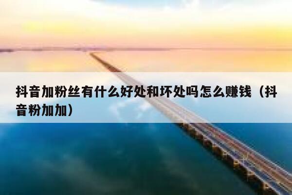 抖音加粉丝有什么好处和坏处吗怎么赚钱（抖音粉加加） 第1张