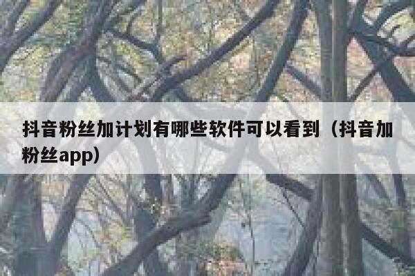 抖音粉丝加计划有哪些软件可以看到（抖音加粉丝app） 第1张