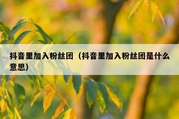抖音里加入粉丝团(抖音里加入粉丝团是什么意思) 第1张 抖音里加入粉丝团(抖音里加入粉丝团是什么意思) 第1张