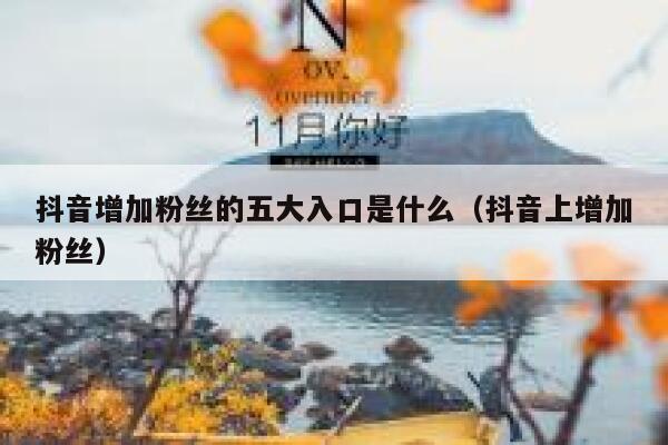 抖音增加粉丝的五大入口是什么（抖音上增加粉丝） 第1张