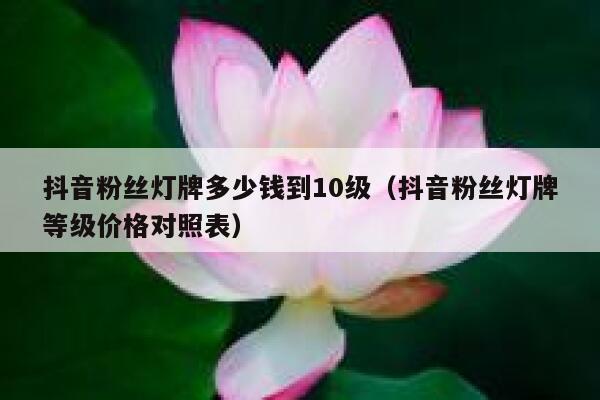 抖音粉丝灯牌多少钱到10级（抖音粉丝灯牌等级价格对照表） 第1张