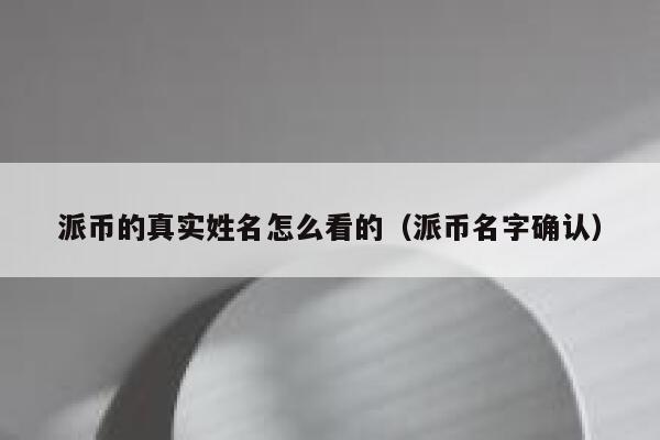 派币的真实姓名怎么看的(派币名字确认) 第1张 派币的真实姓名怎么看的(派币名字确认) 第1张