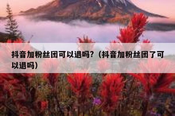 抖音加粉丝团可以退吗?（抖音加粉丝团了可以退吗） 第1张