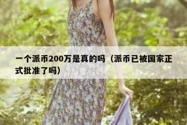 一个派币200万是真的吗（派币已被国家正式批准了吗） 第1张